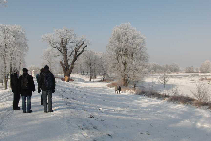 Die Elbe mit Eisgang Winterwanderung an der Elbe