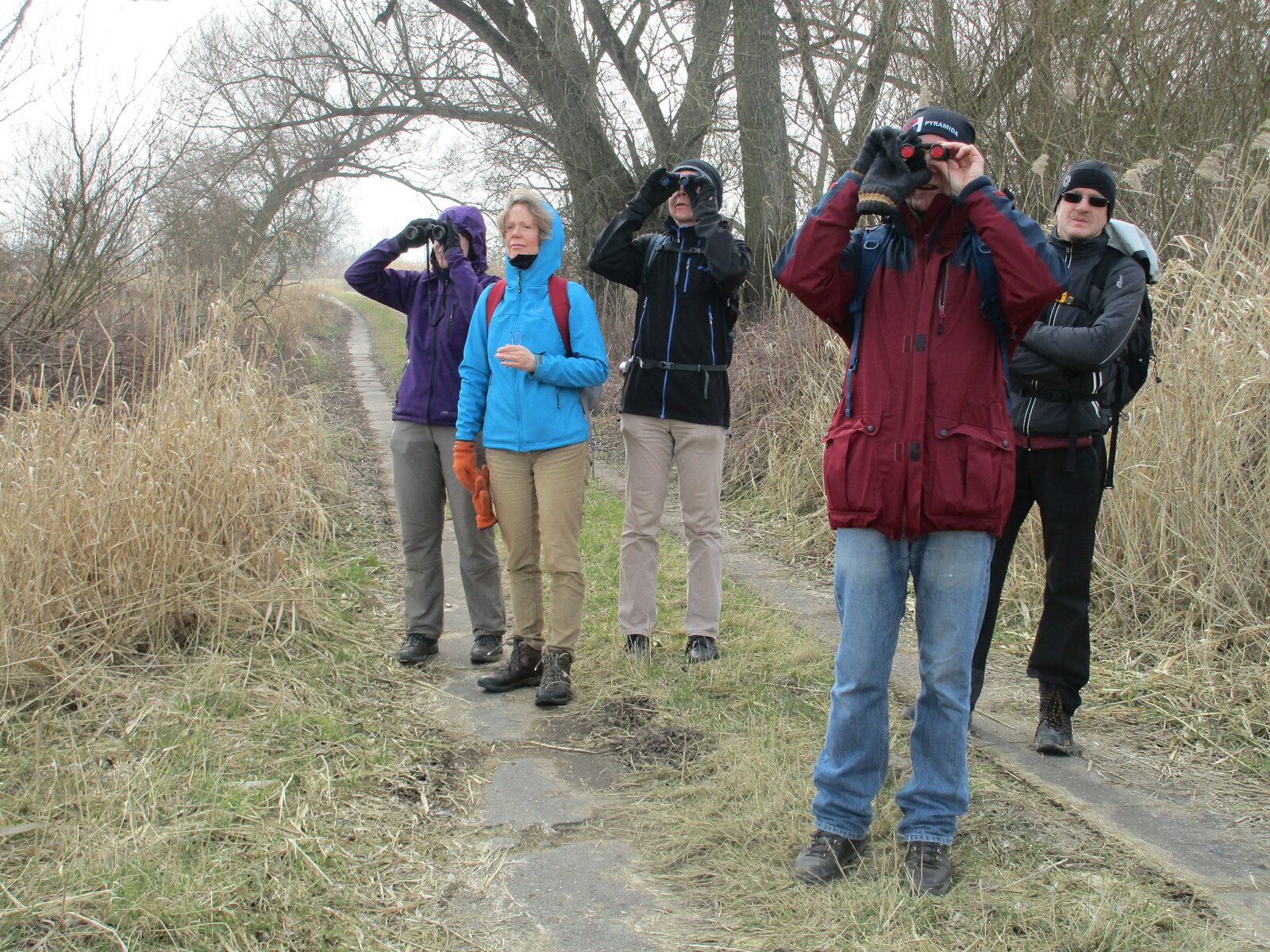 Foto Oderwanderung bei Schwedt