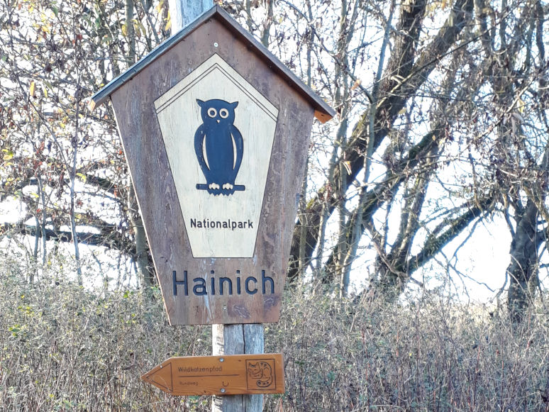 Wandern im Hainich